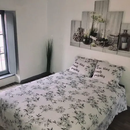 Appartement Proche Cite Medievale 4 Pers Carcassonne Exterior photo
