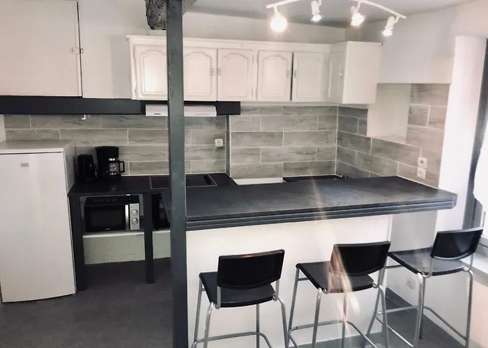 Appartement Proche Cite Medievale 4 Pers